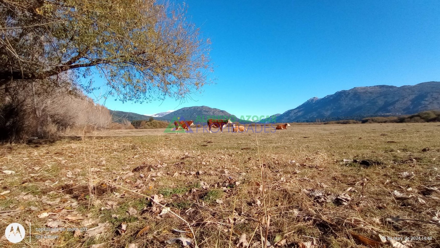 CHACRA 16 HECTAREAS. OPORTUNIDAD UNICA.