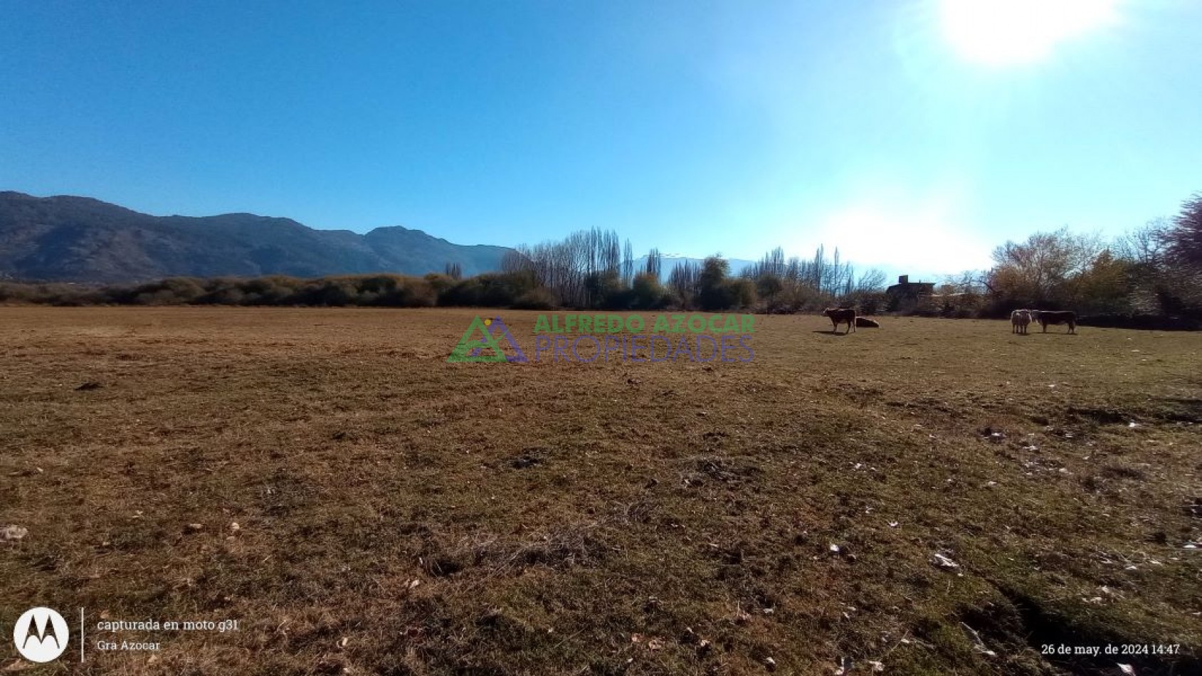 CHACRA 16 HECTAREAS. OPORTUNIDAD UNICA.
